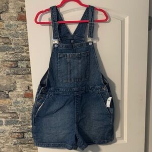 GAP Dark Blue Women's Denim Overalls